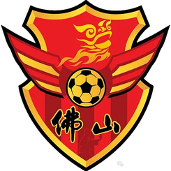 佛山队
